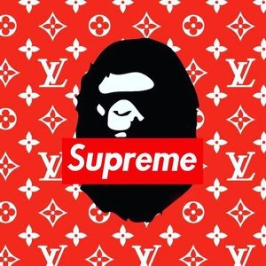 Meet your Posher, Wyatt